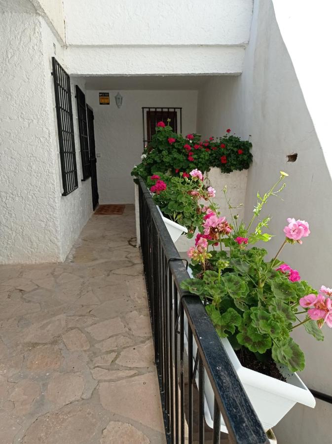 Entrada privada con geranios